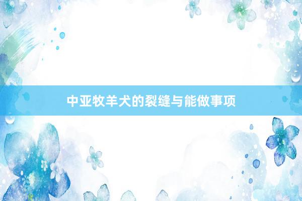 中亚牧羊犬的裂缝与能做事项